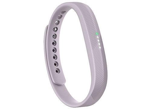 Fitbit Flex 2 – Lavender