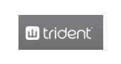 Buy From Trident’s USA Online Store – International Shipping