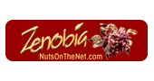Buy From Zenobia’s USA Online Store – International Shipping
