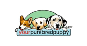 Buy From Your Purebred Puppy’s USA Online Store – International Shipping