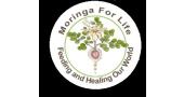 Buy From Moringa For Life’s USA Online Store – International Shipping