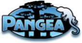 Buy From Pangea’s USA Online Store – International Shipping