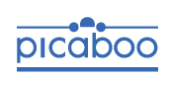 Buy From Picaboo’s USA Online Store – International Shipping