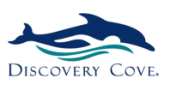 Buy From Discovery Cove’s USA Online Store – International Shipping