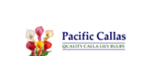 Buy From Pacific Callas USA Online Store – International Shipping
