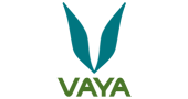Buy From Vaya’s USA Online Store – International Shipping