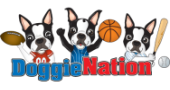 Buy From DoggieNation’s USA Online Store – International Shipping